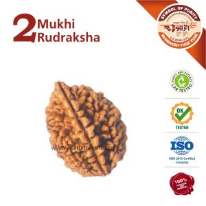 Asli Rudraksha