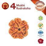 Gemini Zodiac 4 Mukhi Rudraksha (मिथुन राशि) Mithun Rashi Rudraksha 4 Face