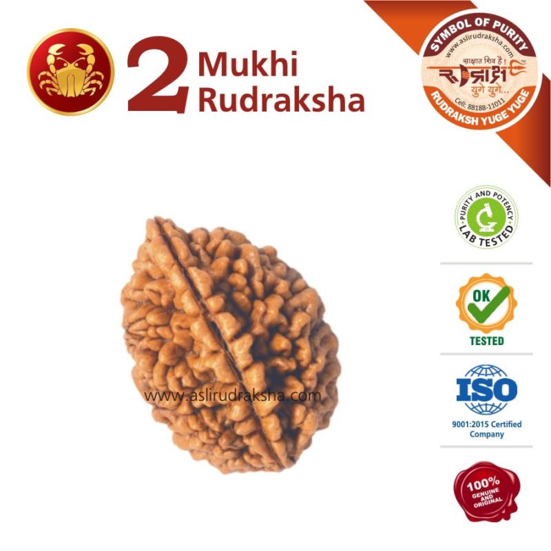 Kark Rashi Rudraksha 2 Face