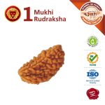 Singh Rashi Rudraksha 1 Face