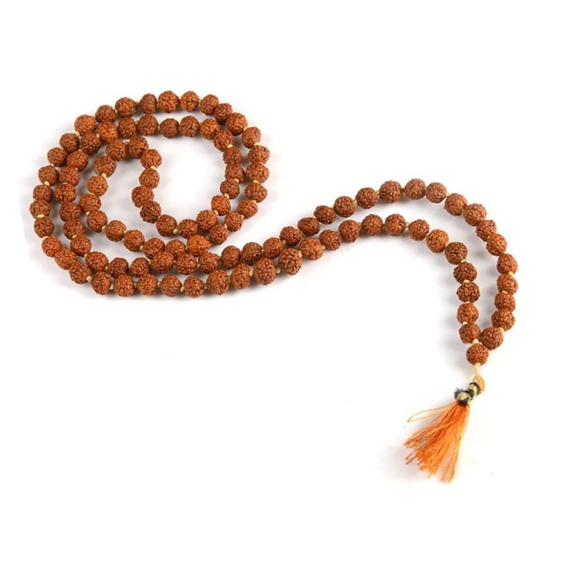 Asli Rudraksha