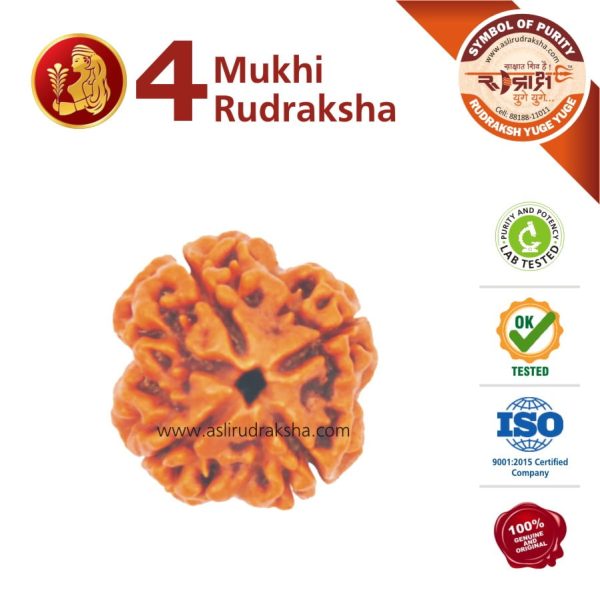 Kanya Rashi Rudraksha 4 Face Lab Tested Certified 100 Original Kanya Rashi Rudraksha 4 Face Lab Tested Certified 100 Original