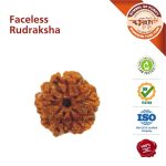 Faceless Rudraksha bead