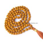 Asli Rudraksha