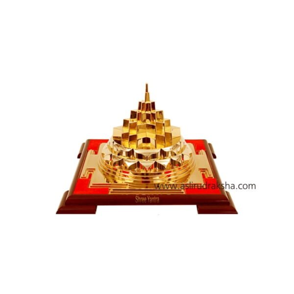 Asli Rudraksha