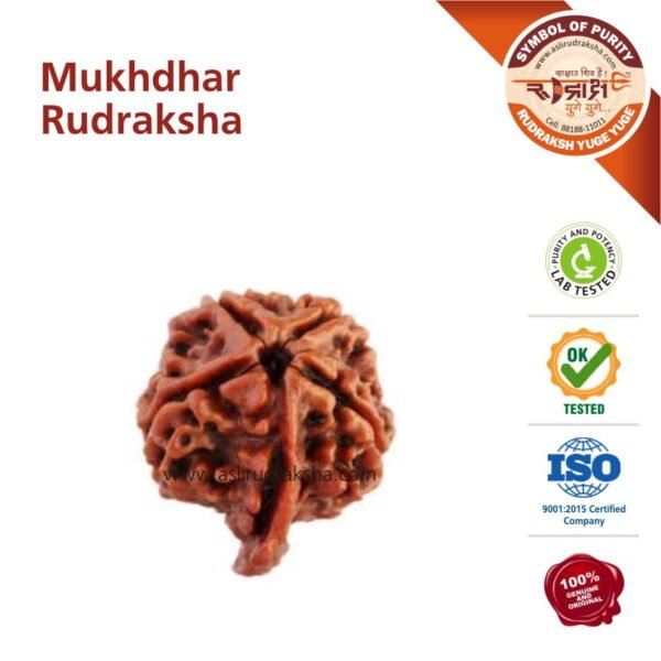 Mukhdhaar Ganesh Rudraksha