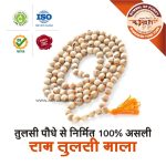 Asli Rudraksha