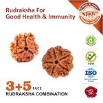Rudraksha For Good Health & Immunity 02 https://aslirudraksha.com/