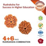 https://aslirudraksha.com
