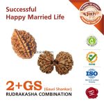 Successful Married Life 01 Asli Rudraksha