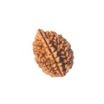 (कर्क राशी)