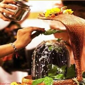 Rudrabhishek Pooja