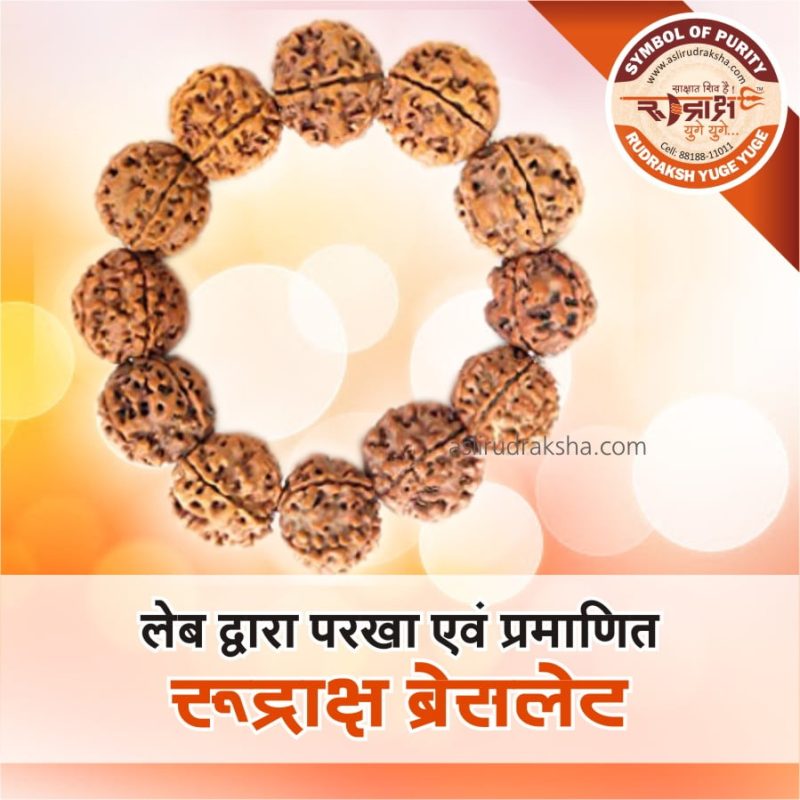 Asli Rudraksha