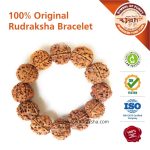 Asli Rudraksha