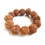 Asli Rudraksha