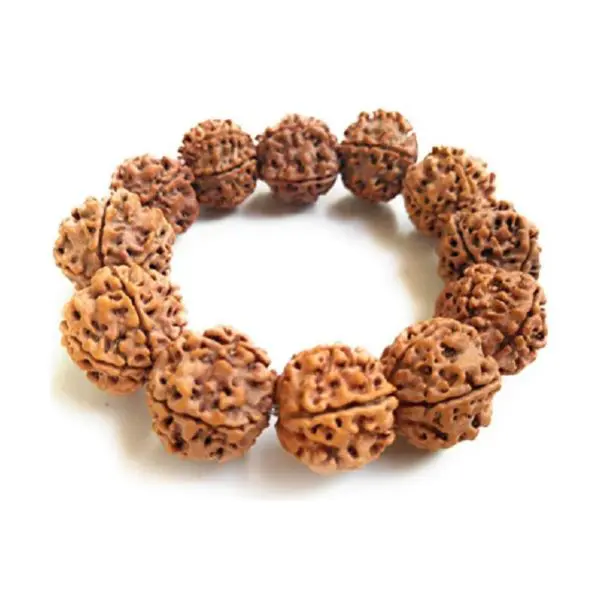 Asli Rudraksha