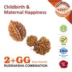 Rudraksha Combo 2 with Gauri Ganesh Rudraksha Combo 2 with Gauri Ganesh
