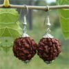 Asli Rudraksha