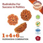 https://aslirudraksha.com/