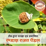 Asli Rudraksha
