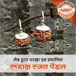 Asli Rudraksha