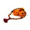 Asli Rudraksha