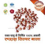 Asli Rudraksha