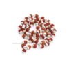 Asli Rudraksha