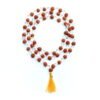 Asli Rudraksha