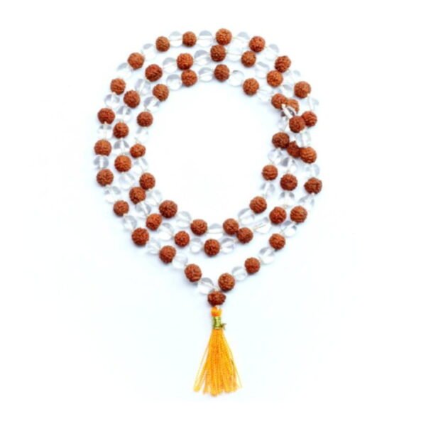 Asli Rudraksha