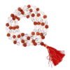 Asli Rudraksha