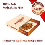 Rudraksha Gift 01 1 Mukhi Rudraksha