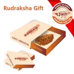 Rudraksha Gift 02 1 Mukhi Rudraksha