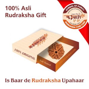 Asli Rudraksha