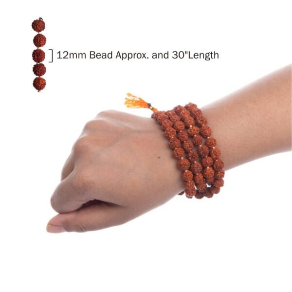 Brahmastra Rudraksha Mala Bracelet 12mm