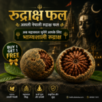 rudraksha fruit