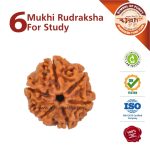 https://aslirudraksha.com/