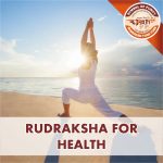 https://aslirudraksha.com/