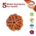 https://aslirudraksha.com/