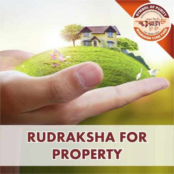 https://aslirudraksha.com/