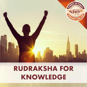 https://aslirudraksha.com/