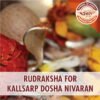 Rudraksha for Kaalsarp Dosha Asli Rudraksha 01 https://aslirudraksha.com/