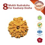 https://aslirudraksha.com/