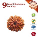https://aslirudraksha.com/