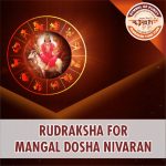 https://aslirudraksha.com/