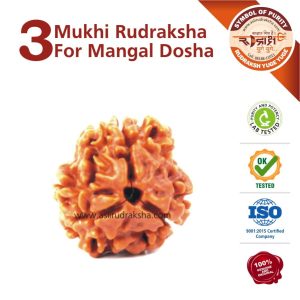 https://aslirudraksha.com/