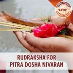 https://aslirudraksha.com/