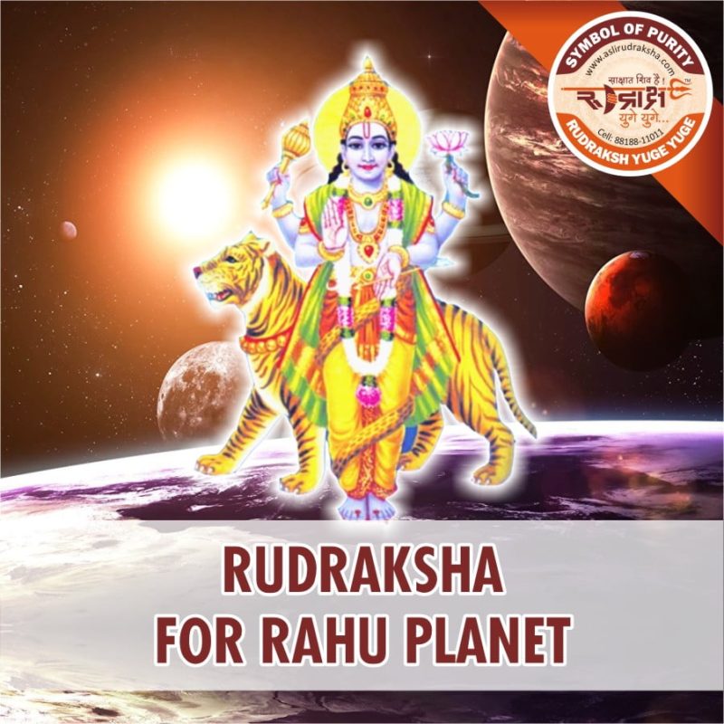 https://aslirudraksha.com/