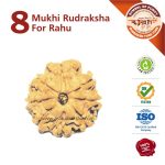 https://aslirudraksha.com/