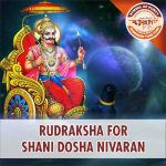 Rudraksha for Shani Dosha Asli Rudraksha 01 https://aslirudraksha.com/